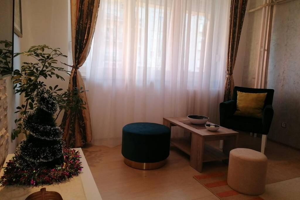 Apartment Oasis Felix Belgrad