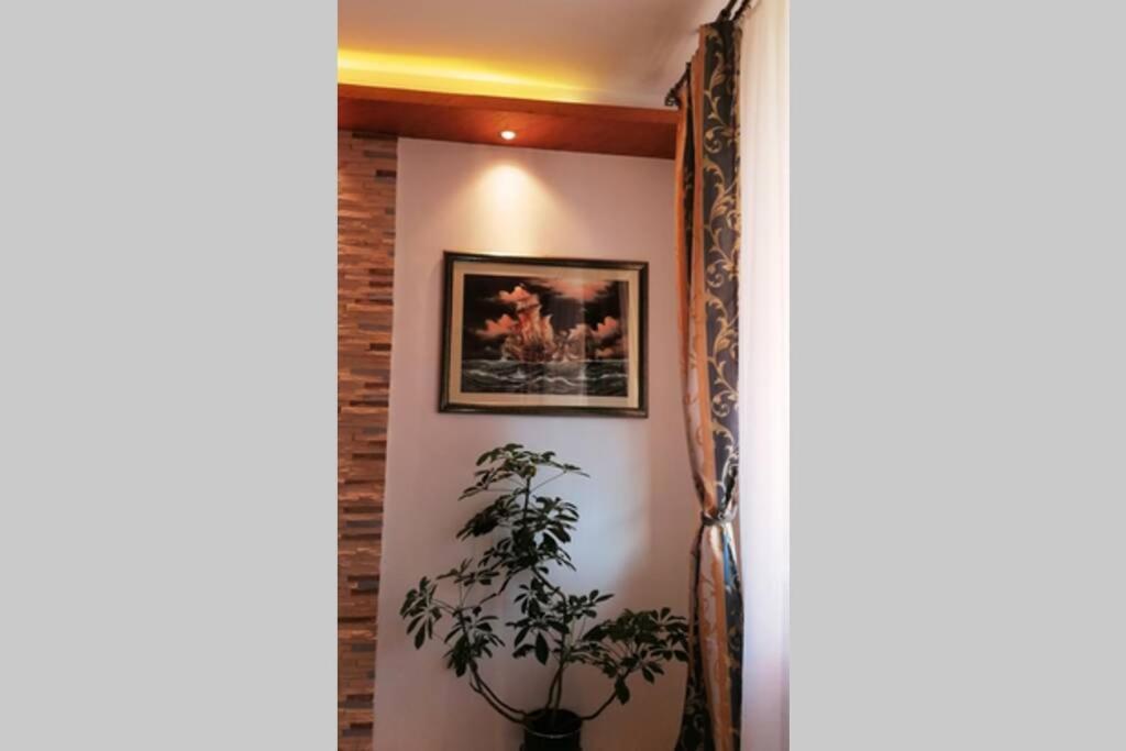 Oasis Felix Apartment *