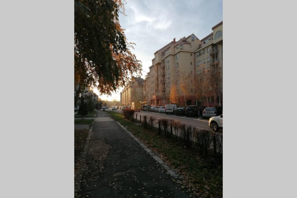 Oasis Felix * Belgrad